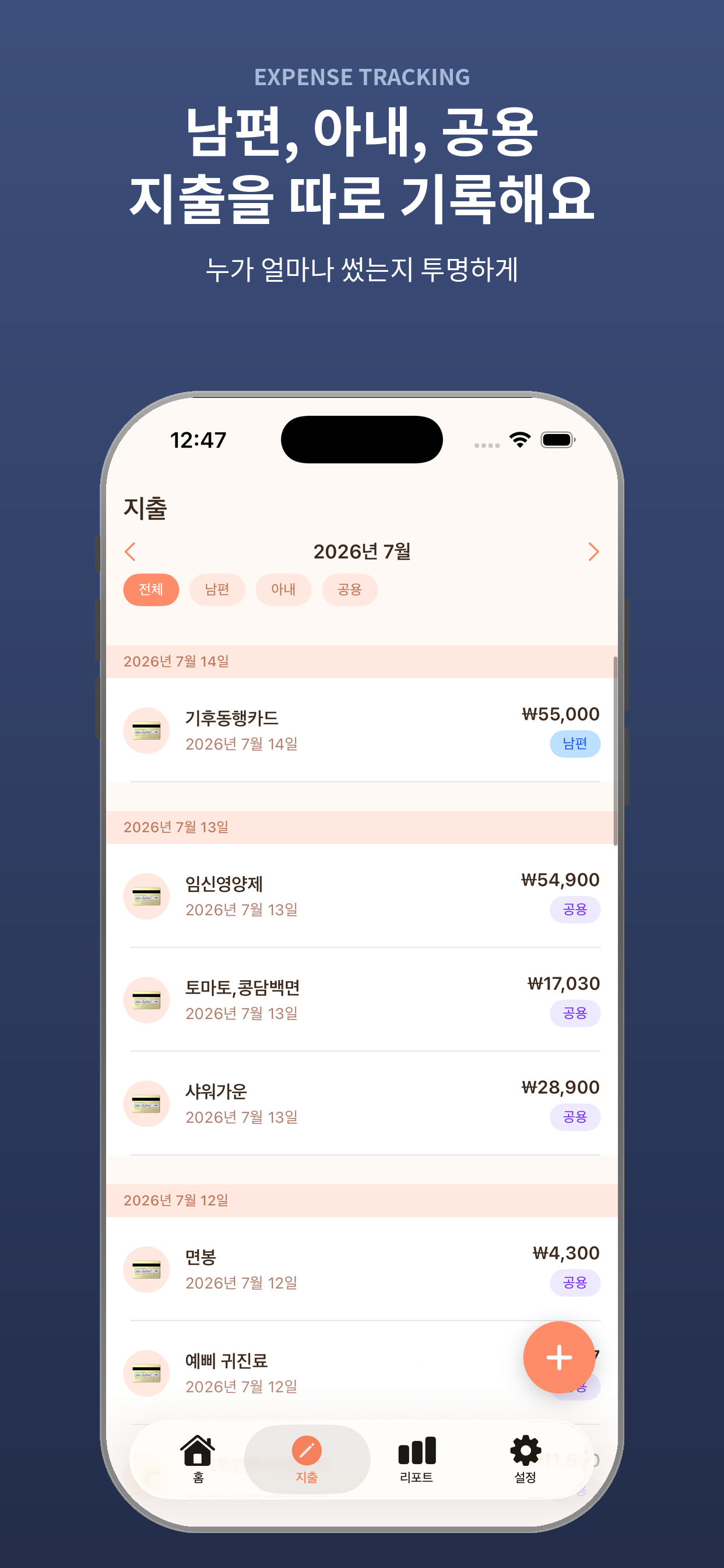 지출 입력 화면